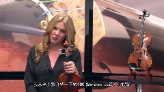 音乐短片 - 美国梦迪尼Mendini MV-SL-400小提琴演示