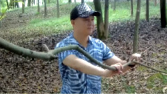 一路踏歌行