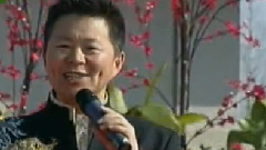 王宏伟 - 走进新农村