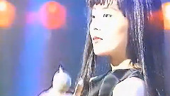 中山美穗 - Rosa