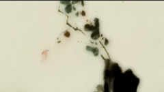 原创 - 花君