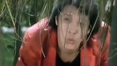 刘文正 - 遇