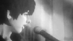 Green Day - Nightlife