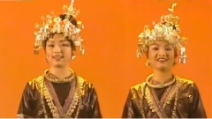 杨水仙,杨燕红 - 蝉之歌