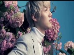 EXO-M - 强く儚い者たち
