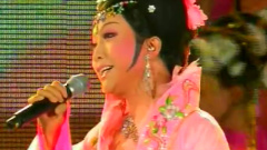 李玉刚 - 枉凝眉