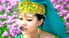 华语群星 - 我家的花儿
