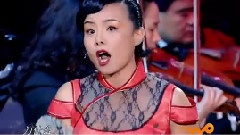 龚琳娜 - 爱上大笨蛋