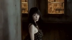 王菲 - 旋木