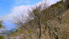 轻音乐 - 春雪消融的小河边