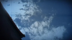 IA,gumi - 金合欢