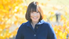 初音未来 - Tender