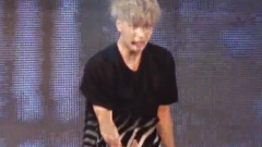 EXO,EXO-K,EXO-M - Wolf