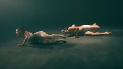 泰国群星 - Cha Mẹ Không Cho