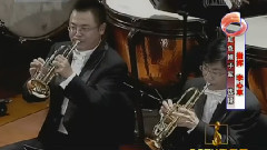 华语群星 - 常青就义