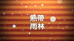许哲佩 - 爱上马戏团团长