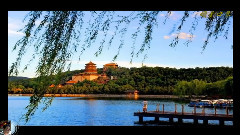 轻音乐 - 欢庆舞曲