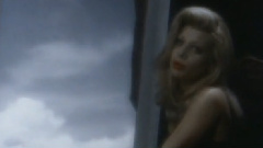 Taylor Dayne - I ll Be Your Shelter