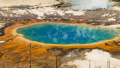 Joel Schat - Made To Be Seen