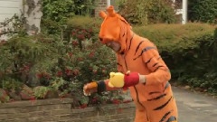 Stephen Malkmus & The Jicks - Tigers