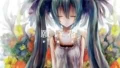 初音未来 - 愿い花