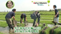 岚 - Green(NTV Touch Eco 2009)09/06/07