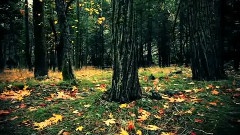 Norah Jones - The Long Day Is Over