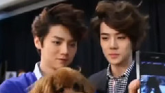 EXO-M,EXO-K,EXO - Cute Moments