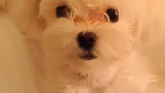 少女时代 - 泰妍INS更新