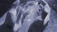 轻音乐 - 雨夜的浪漫