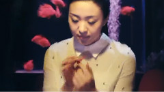 龙梅子,冷漠 - 想你啦 混音版