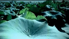 韩磊 - 天地人和