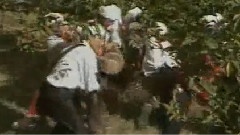 华语群星 - 喜庆