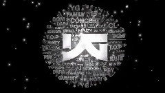 YG Family - 2011 YG Family Concert SPOT