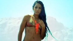Flo Rida - Whistle