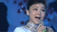 王莉,师鹏 - 我像雪花天上来