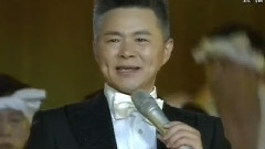 王宏伟 - 西部放歌