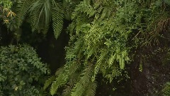 风景 - 世界上最美丽的地方12