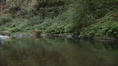 风景 - 世界上最美丽的地方16