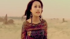 顾莉雅 - 天涯