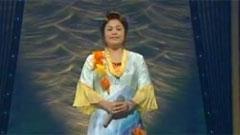夏川里美 - 泪光闪闪