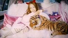 Tommy Heavenly6 - Ready