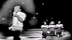 欧美群星 - 1966 Billboard Top 10 Singles