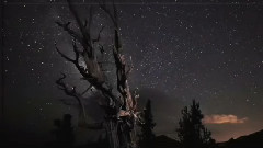 音乐短片,风景 - Come Fly Away