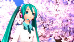 VOCALOID家族,初音未来 - 桜ノ雨
