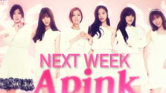 A Pink - KBS音乐银行