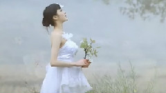 陈悦 - 绿野仙踪