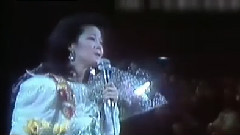 邓丽君 - 邓丽君逝世16周年