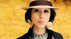 藏家姑娘