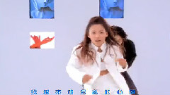 张惠春 - 如果我是你的电脑